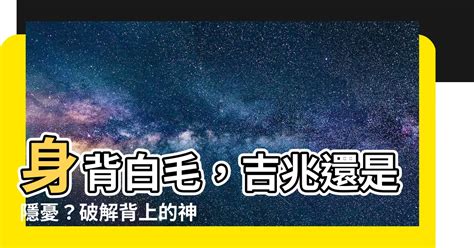 背上長白毛 2024年生效